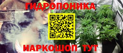 наркотики Будённовск