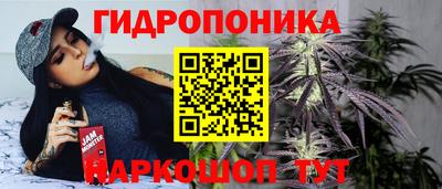 наркотики Будённовск